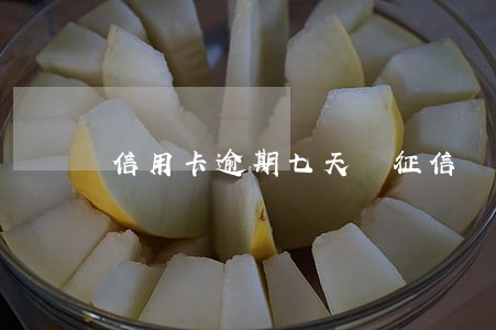 信用卡逾期七天 征信 信用卡逾期七天 征信